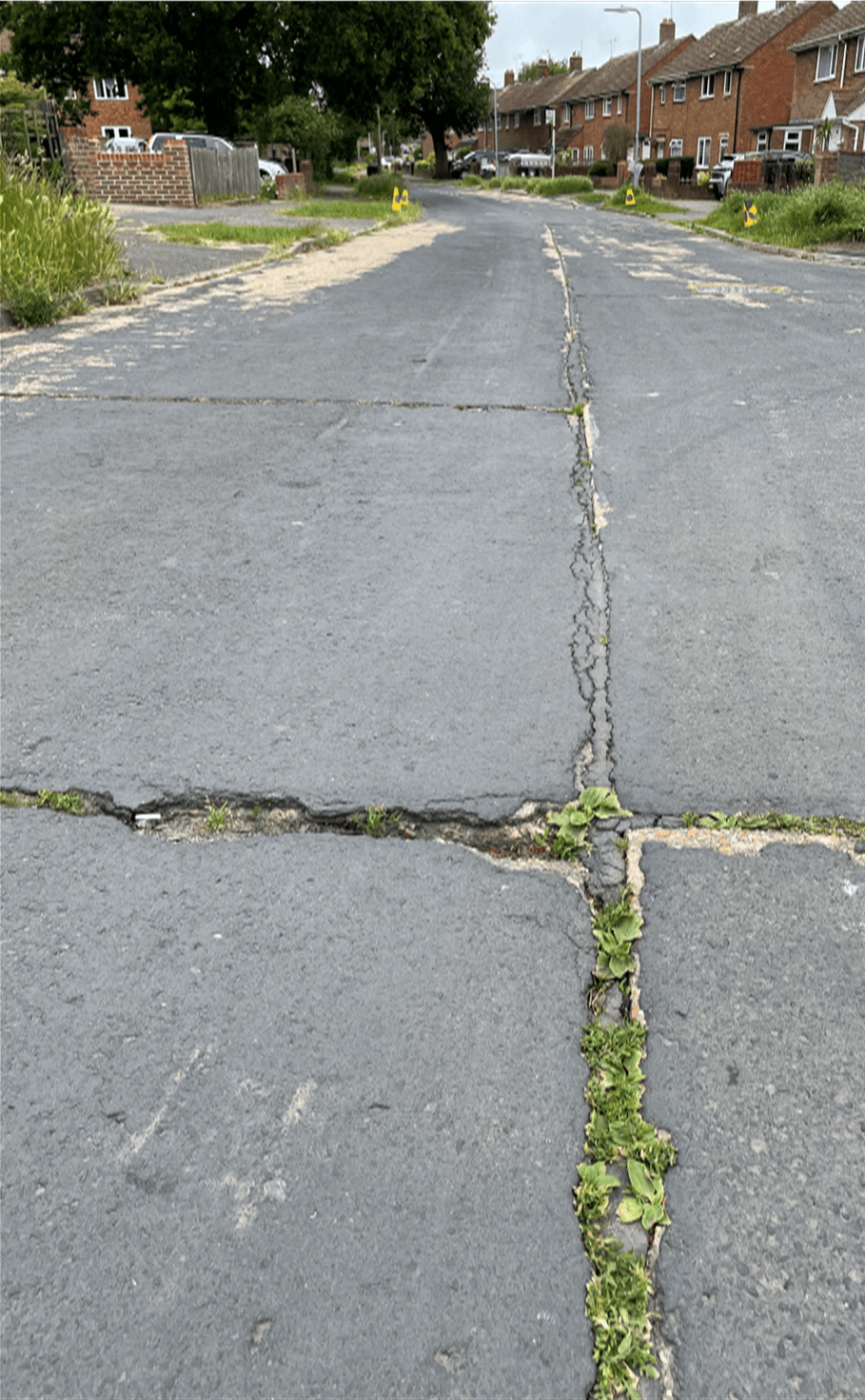 weed growth in road joints